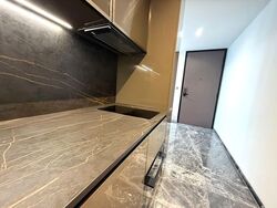 One Bernam (D2), Apartment #528932061